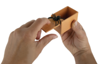 5345_SPIDER_BOX_SCALE_HANDS_IMG_4301 copy_CMYK_HIREZ Spider Box Prank