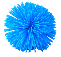 5349_WS BLUE KOOSH copy_RGB_HIREZ Kiosk