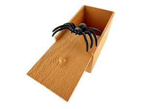 Spider Box